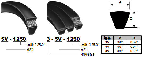 Narrow V 單條與併聯型號表示示意圖