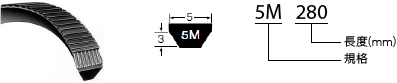 5M 截面尺寸示意圖