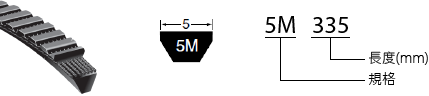 5M 型號表示示意圖