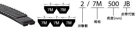 7M 併聯型號表示示意圖