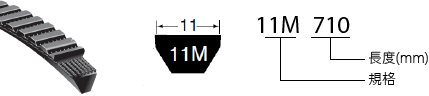 11M 皮帶與截面示意，寬度標示 11；11M 710 分別表示規格與長度（mm）