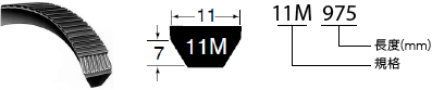 11M 皮帶截面寬度 11、高度 7；11M 975 表示規格與長度（mm）