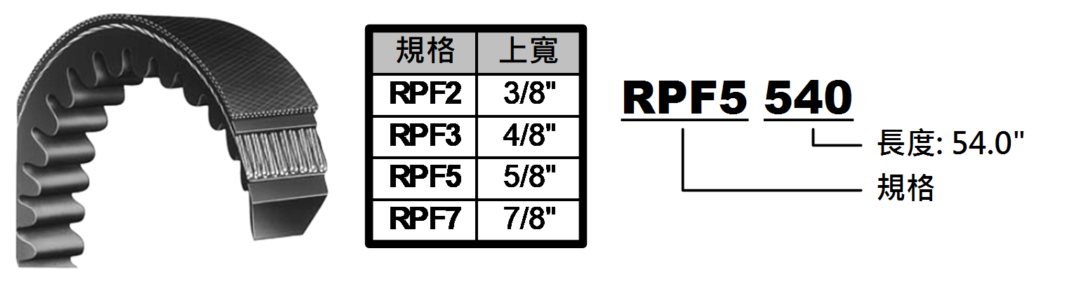 RPF 系列皮帶示意與上寬:RPF2 為 3/8、RPF3 為 4/8、RPF5 為 5/8、RPF7 為 7/8 inch;RPF5 540 範例表示規格 RPF5、長度 54.0 inch