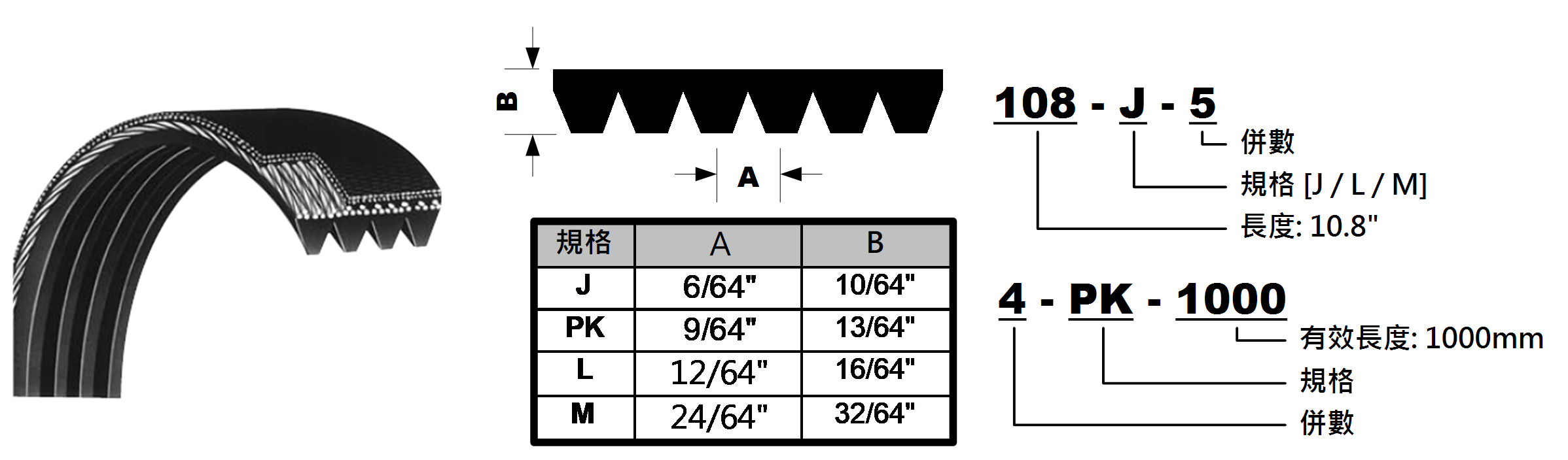 橡膠多溝皮帶截面 A/B:J 6/64/10/64、PK 9/64/13/64、L 12/64/16/64、M 24/64/32/64 inch;型號標示長度、規格與併數